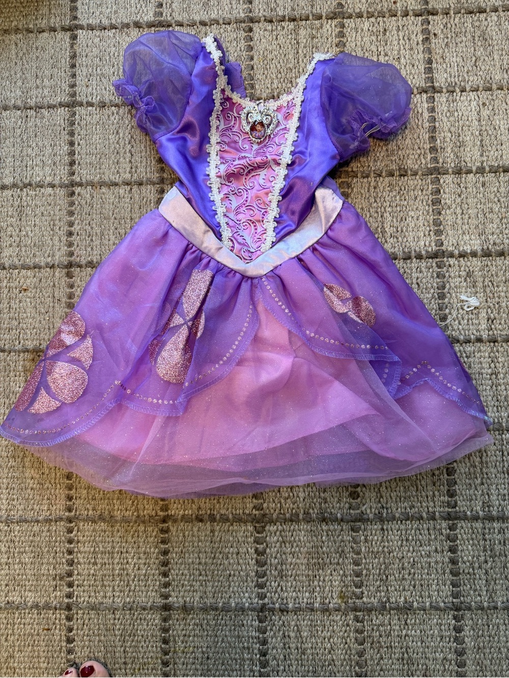 Disney Purple Princess Dress Costume with Pink Accents
